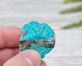 Chrysocolla Specimen - New Mexico #4