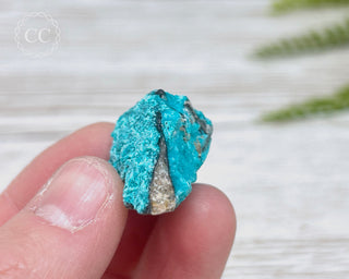 Chrysocolla Specimen - New Mexico #1