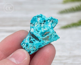 Chrysocolla Specimen - New Mexico #5