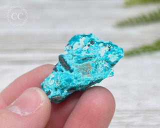 Chrysocolla Specimen - New Mexico #5