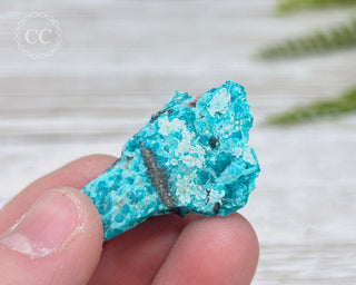 Chrysocolla Specimen - New Mexico #5