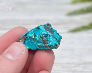 Chrysocolla Specimen - New Mexico #1