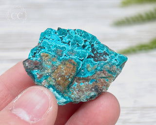 Chrysocolla Specimen - New Mexico #8