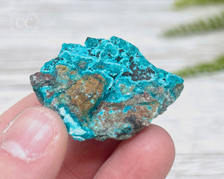 Chrysocolla Specimen - New Mexico #8