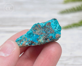 Chrysocolla Specimen - New Mexico #8