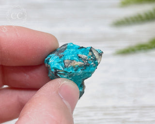 Chrysocolla Specimen - New Mexico #1