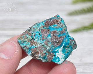 Chrysocolla Specimen - New Mexico #8