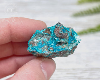 Chrysocolla Specimen - New Mexico #8