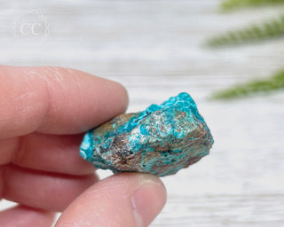 Chrysocolla Specimen - New Mexico #8