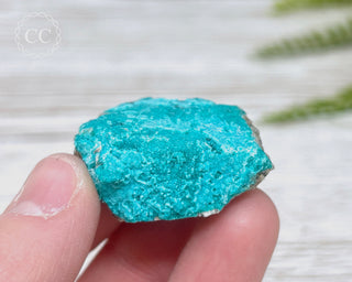 Chrysocolla Specimen - New Mexico #9