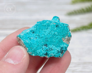 Chrysocolla Specimen - New Mexico #9
