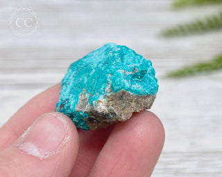 Chrysocolla Specimen - New Mexico #9