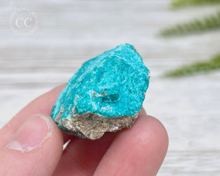 Chrysocolla Specimen - New Mexico #9