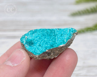 Chrysocolla Specimen - New Mexico #9