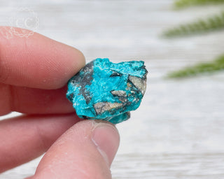 Chrysocolla Specimen - New Mexico #1