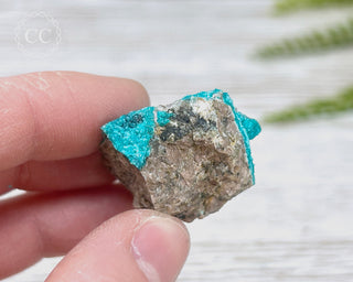 Chrysocolla Specimen - New Mexico #9