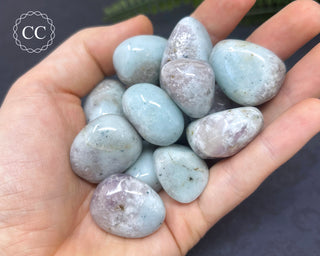 Cleavelandite & Lepidolite Tumbled Crystals in hand