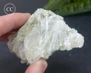 Colemanite Specimen #1