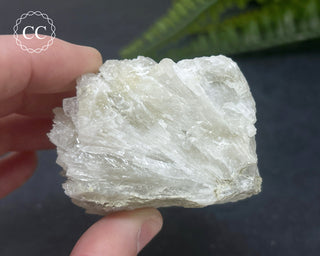 Colemanite Specimen #1