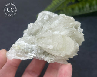 Colemanite Specimen #1