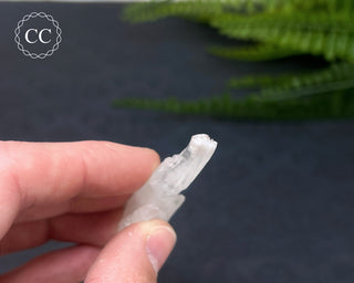 Colombian Faden Quartz #1
