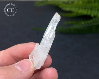 Colombian Faden Quartz #1