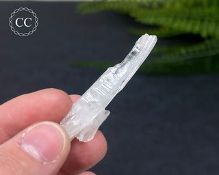 Colombian Faden Quartz #1