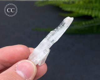 Colombian Faden Quartz #1