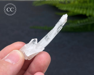 Colombian Faden Quartz #1