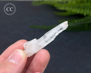 Colombian Faden Quartz #1