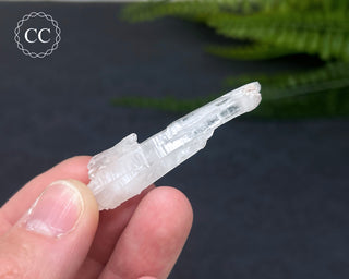Colombian Faden Quartz #1