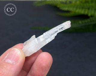 Colombian Faden Quartz #1