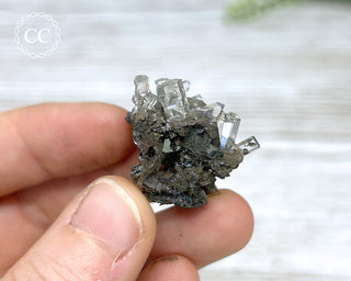 Columnar Calcite - Fujian #4