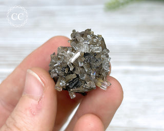 Columnar Calcite - Fujian #2
