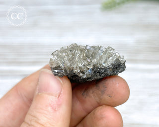 Columnar Calcite - Fujian #13