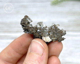 Columnar Calcite - Fujian #15