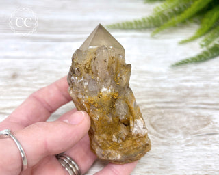 Congo Citrine #1