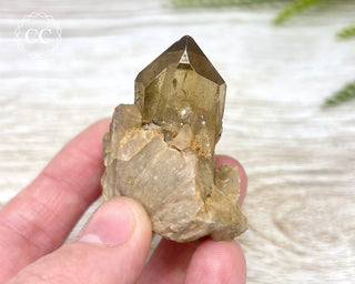 Congo Citrine #7