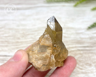 Congo Citrine #7