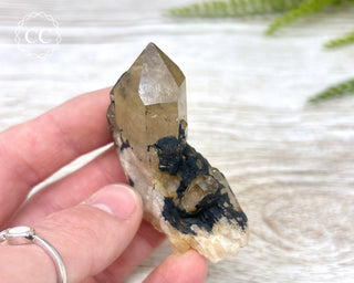 Congo Citrine #10