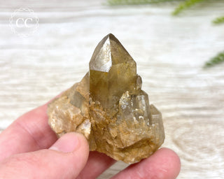 Congo Citrine #7