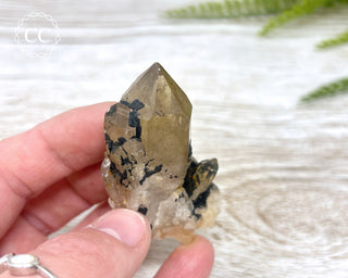 Congo Citrine #10