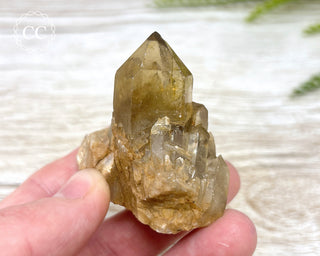 Congo Citrine #7