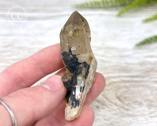 Congo Citrine #10