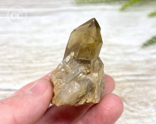 Congo Citrine #7