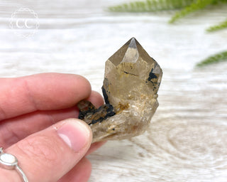 Congo Citrine #10