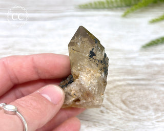 Congo Citrine #10