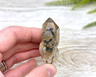 Congo Citrine #10