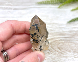 Congo Citrine #10