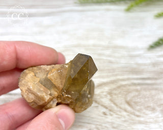 Congo Citrine #7